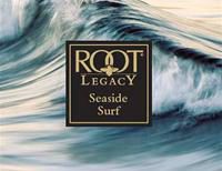 Seaside Surf Votive Sampler