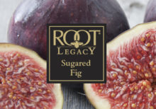 Sugared Fig Votive Sampler