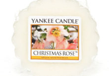 Yankee Candle - Christmas Rose Wax Melt Tart