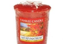 Yankee Candle - Nature's Paintbrush Votive Sampler