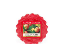 Yankee Candle - Macintosh Wax Melt Tart