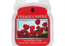 Village Candle - Scarlet Berry Tulip Wax Melt Pack