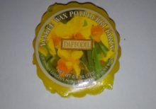 Yankee Candle - Daffodil Wax Melt Tart (Old Label)