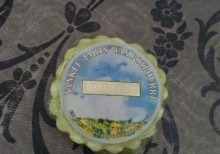 Yankee Candle - Summer Fresh Wax Melt Tart (Old Label)