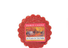 Yankee Candle - Autumn in the Park Wax Melt Tart