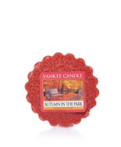 Yankee Candle - Autumn in the Park Wax Melt Tart