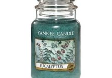 Yankee Candle - Eucalyptus Large Jar