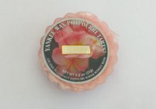 Yankee Candle - Plumeria Wax Melt Tart (Old Label)