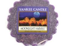 Yankee Candle - Moonlight Harvest Wax Melt Tart