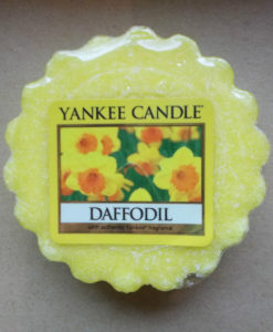 Yankee Candle - Daffodil Wax Melt Tart