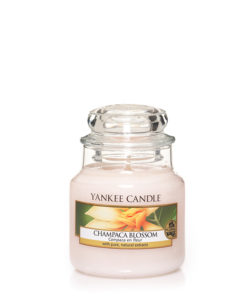 Yankee Candle - Champaca Blossom Small Jar