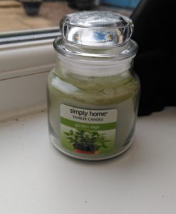 Yankee Candle - Garden Sage Small Jar