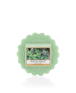 Yankee Candle - Wild Mint Wax Melt Tart