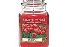 Yankee Candle - Tulips Large Jar