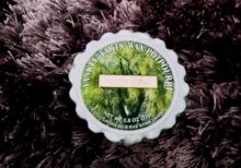 Yankee Candle - Willow Breeze Wax Melt Tart (Old Label)