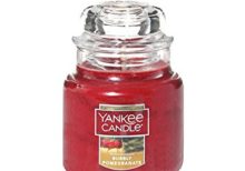 Yankee Candle - Bubbly Pomegranate Small Jar