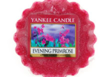 Yankee Candle - Evening Primrose Wax Melt Tart