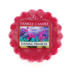 Yankee Candle - Evening Primrose Wax Melt Tart