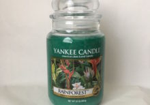 Yankee Candle - Rainforest Large Jar