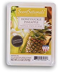Scentsationals Sugar Pine 2.5 oz Scented Fragrant Wax Melts-4 Pack,  3x1x4.25, Green : : Home