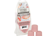 Yankee Candle -  Bubbly & Bright Wax Melt Pack