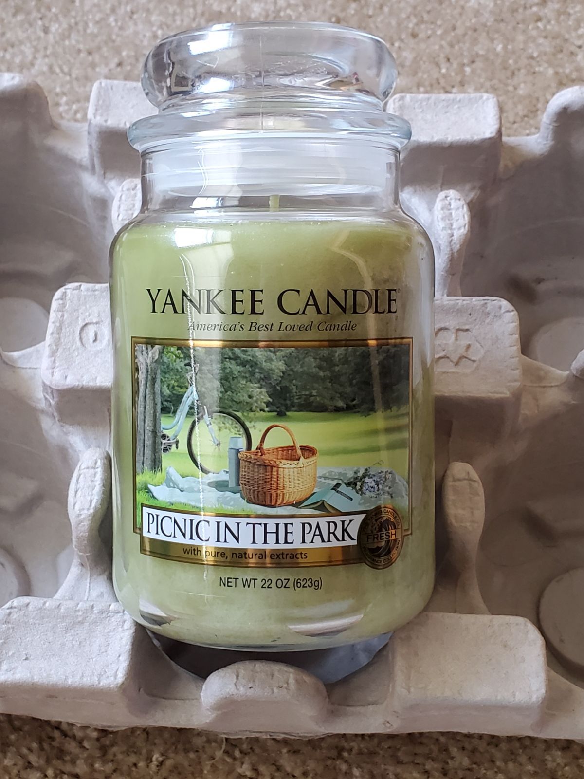 PICNIC IN THE PARK Large 22 oz Jar Candle Yankee Candle Lot of 2 