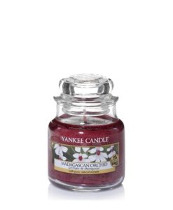 Yankee Candle - Madagascan Orchid Small Jar