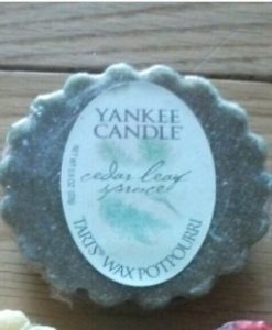 Yankee Candle - Cedar Leaf Spruce Wax Melt Tart