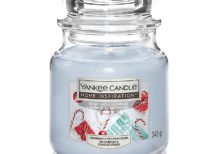 Yankee Candle - Snowflakes & Sleigh Rides Medium Jar