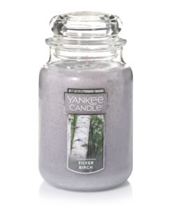 Yankee Candle - Silver Birch Large Jar