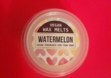 Vegan Wax Melt Pot - Watermelon