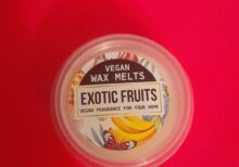 Vegan Wax Melt Pot - Exotic Fruits