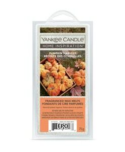 Yankee Candle - Pumpkin Harvest Wax Melt Pack